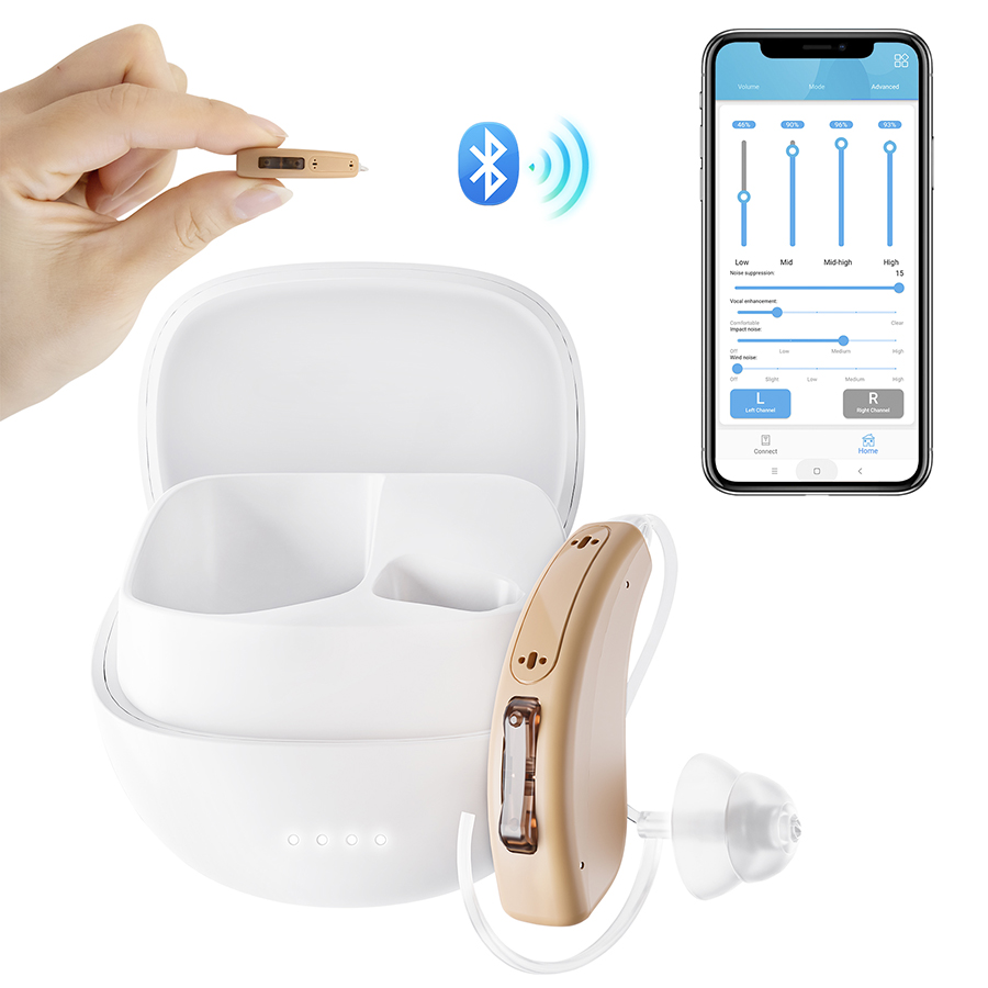 Hearing aid-5116DL