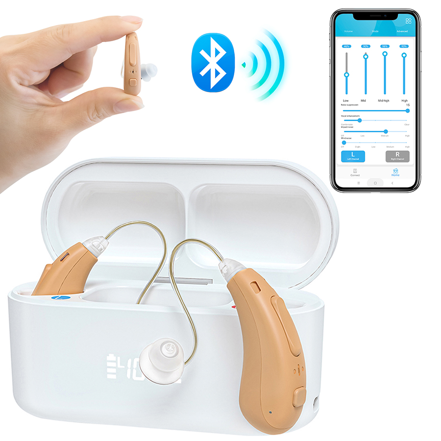 Hearing aid-5120L